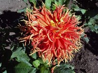 photos 2000-200902740